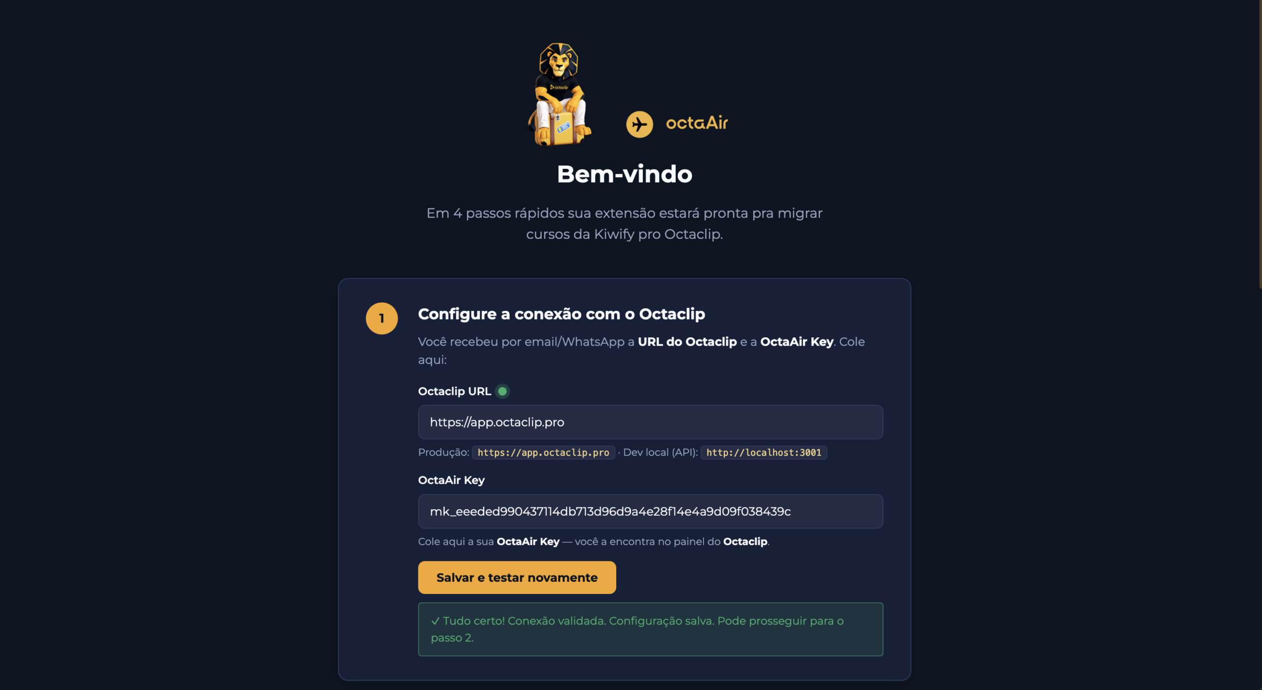 Campo da API Key nas configurações da extensão OctaAir
